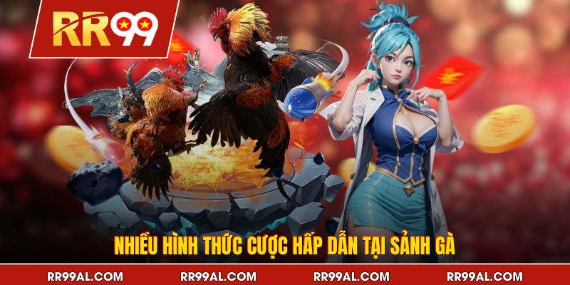 Nhiều hình thức cược hấp dẫn tại sảnh gà