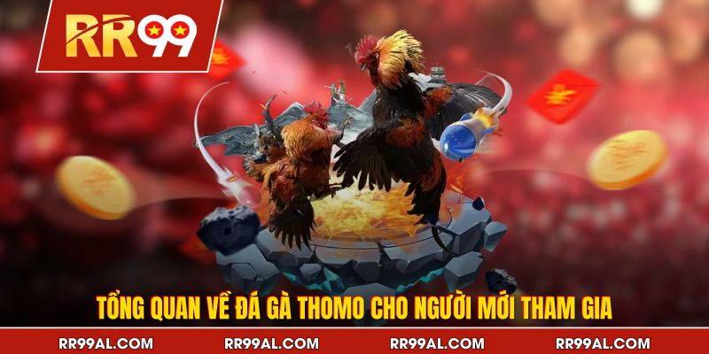 Tổng quan về đá gà Thomo cho người mới tham gia